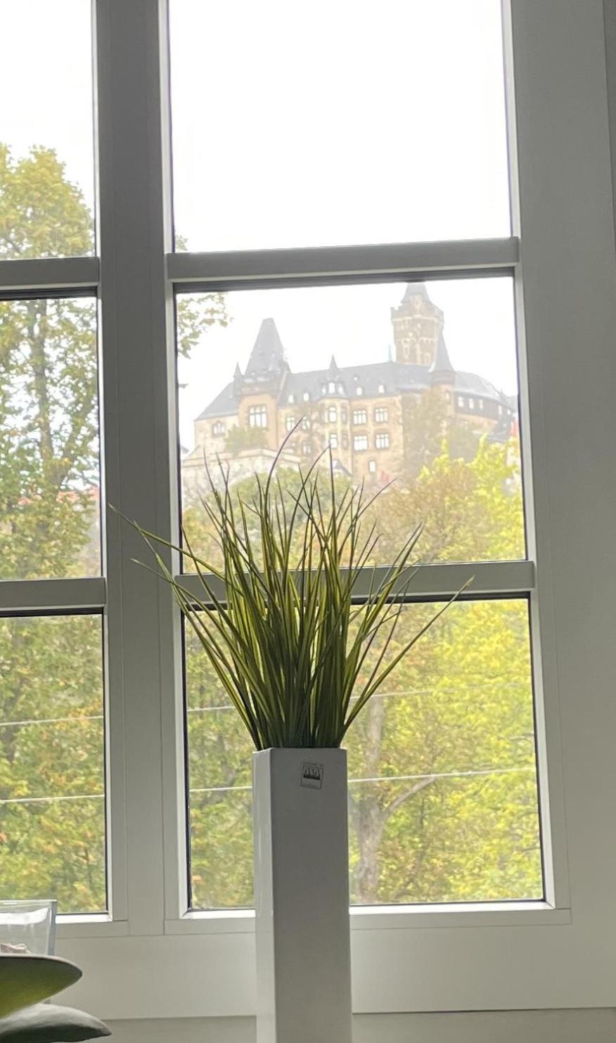 Haus Kreuzberg Mit Schlossblick Apartment Вернигерод Екстериор снимка